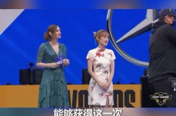 全球总决赛的翻译小姐姐,跨语言沟通的桥梁与幕后英雄